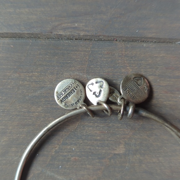 Alex and Ani Compass Bangle - Picture 3 of 6